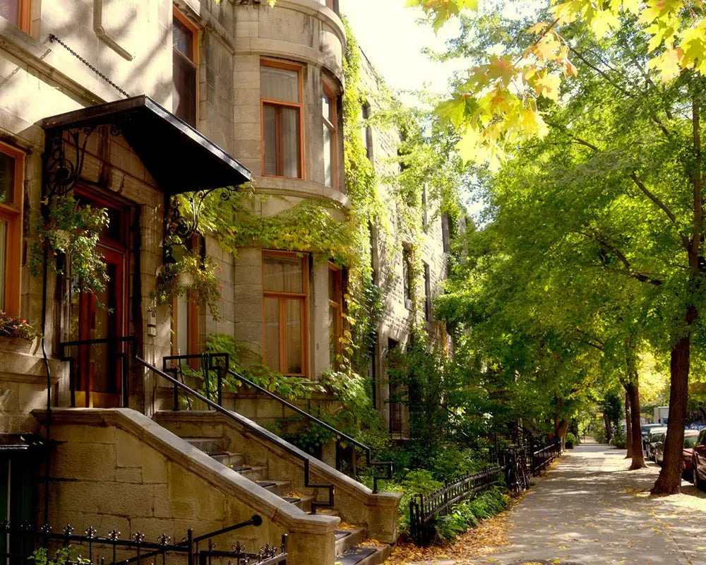 alex-platel-patisserie-succursales-rosemont